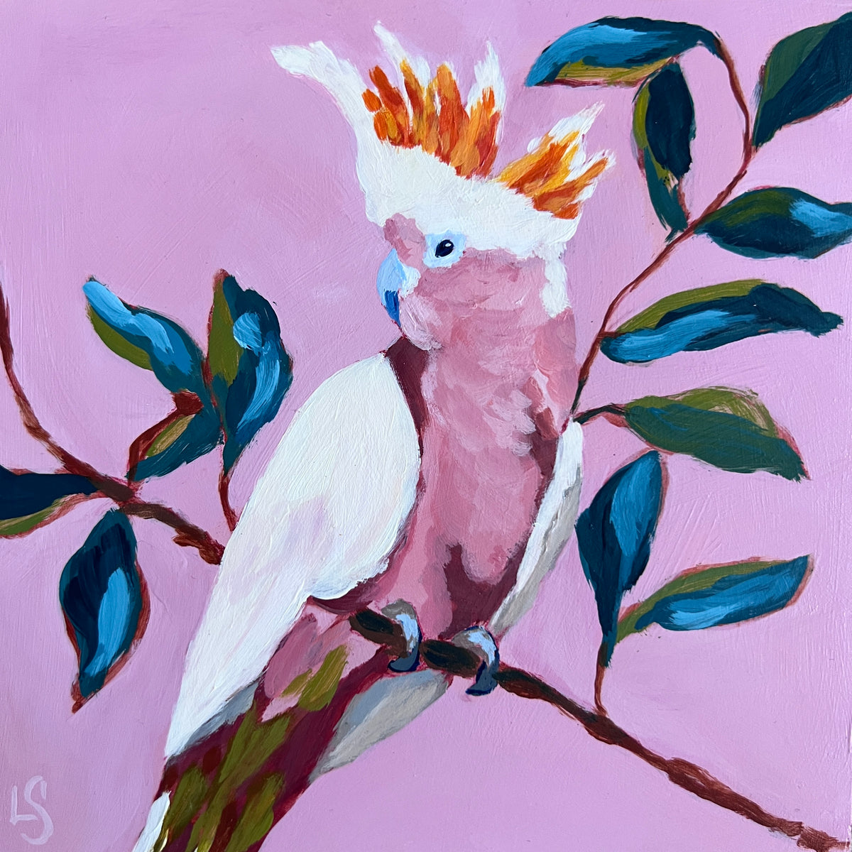 "Fiammetta" - Little Flame (Italian), Pink Cockatoo Original Painting